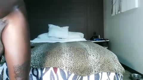 bobbiebone and company online show from September 27, 9:51 am