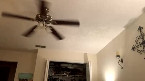 bobwalkjr online show from March 12, 4:20 am