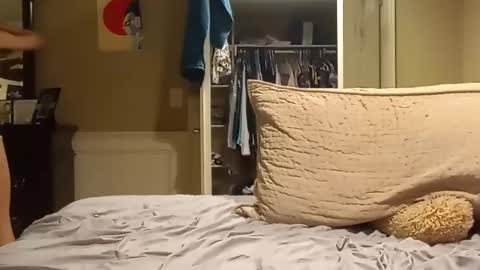 Sailorartemis online show from December 21, 6:52 am