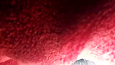 Boloski7 online show from December 20, 6:42 am