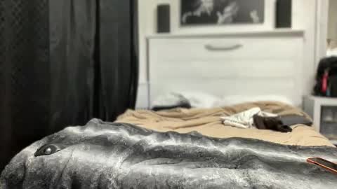 boner4you1994 online show from April 19, 4:23 am