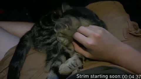 Booker Baxton online show from April 14, 3:06 am