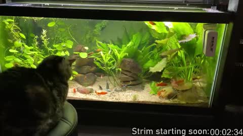 Booker Baxton online show from March 18, 3:09 am