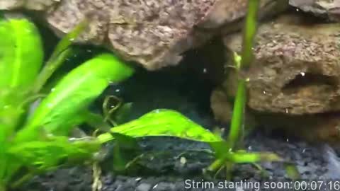 Booker Baxton online show from March 11, 3:02 am