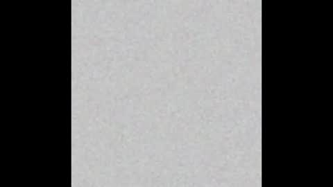 bradysboy online show from October 19, 9:23 am