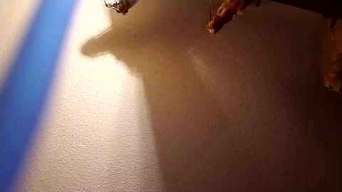 brandon281997 online show from February 14, 9:15 am