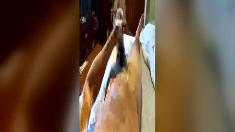 brazilianb0yy online show from June 14, 11:56 am