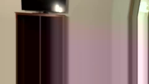 Task Failed Successfully online show from April 1, 10:18 pm