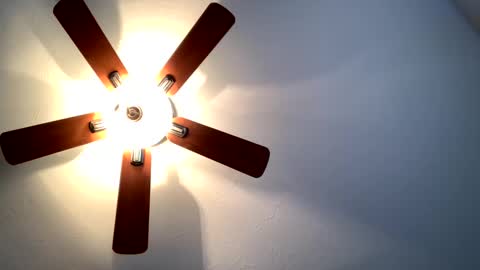 bubbull online show from March 6, 8:37 pm