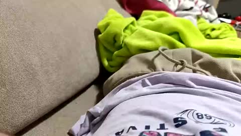 bullspain27266272 online show from February 4, 11:22 pm