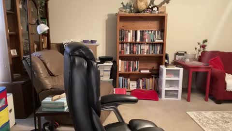 bustyballs100 online show from January 6, 4:00 pm