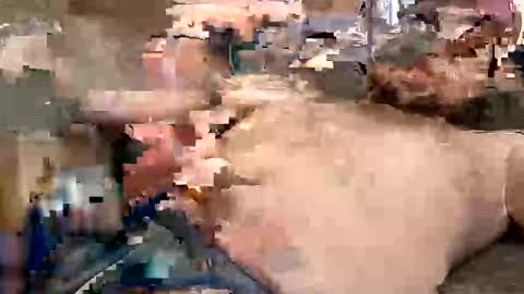 camerontaylorcub online show from February 17, 3:44 pm