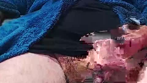 camone554cum online show from October 4, 4:45 pm