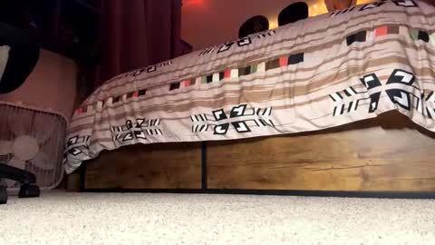 camsmith444 online show from April 14, 2:55 am