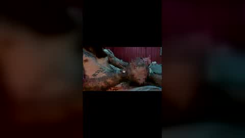 capt_thatcher online show from March 4, 7:37 am