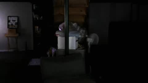Carl online show from January 14, 7:38 am