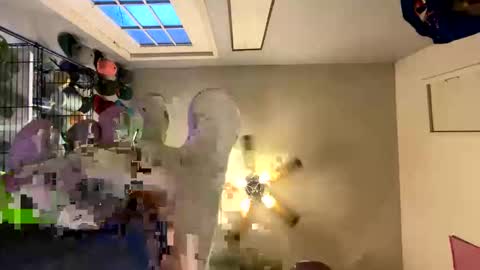 cashmasterdavid69 online show from December 21, 10:41 pm