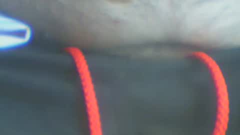 castells online show from September 17, 3:35 pm