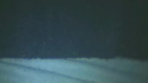 castells online show from February 20, 5:18 pm