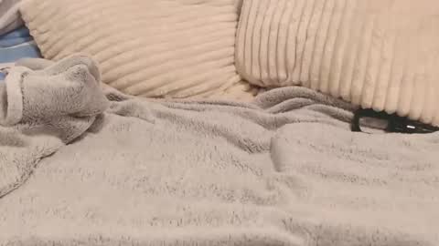 catboy89 online show from October 23, 9:02 am