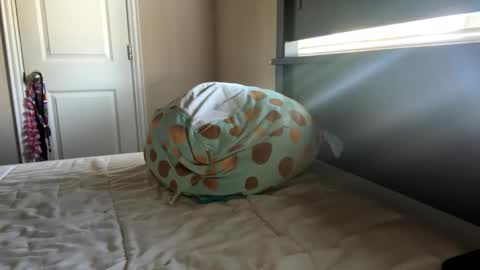 cb2439 online show from October 27, 2:41 pm