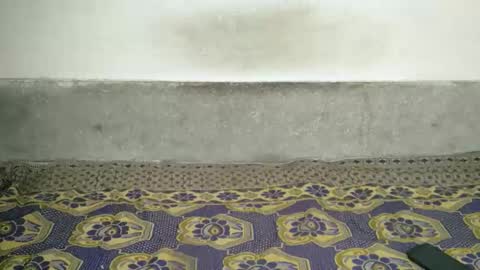 cexxyy221 online show from March 28, 10:04 am