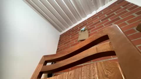    online show from January 18, 7:16 pm