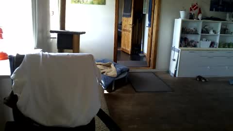 chefben666 online show from April 11, 9:24 am