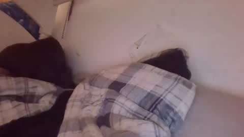 CreepyCrawlyQueenIsmyfavstreamerbyfar online show from January 23, 11:59 pm