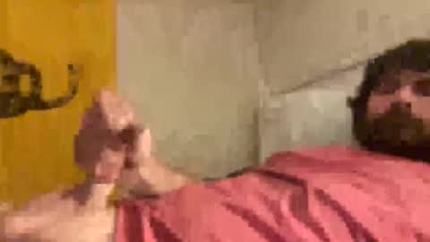 co23456 online show from October 30, 3:13 pm