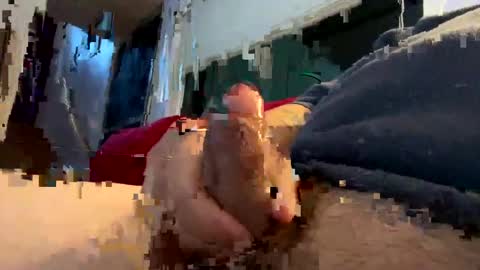 Andre online show from December 7, 1:18 pm