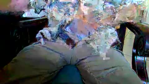 cocksmana online show from February 15, 10:29 pm