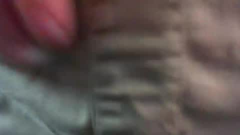 comox online show from April 4, 5:59 am