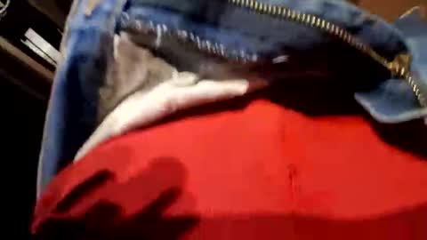 cowboywantsfuckbuddy online show from October 30, 12:17 pm