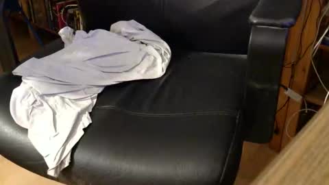 coyote017 online show from April 6, 6:03 am