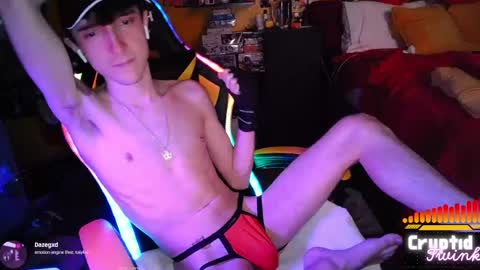 CryptidTwink online show from April 11, 6:31 am