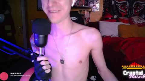 CryptidTwink online show from April 3, 6:21 am