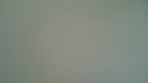 ctbddc online show from February 6, 10:26 am