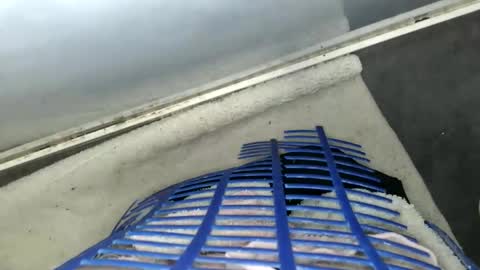 curvelover1977 online show from February 15, 7:36 am