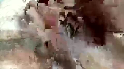 Steve online show from December 9, 12:12 am