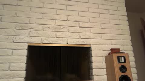 daddy341177 online show from October 2, 3:54 am