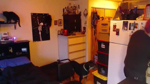 daddy_werewolf online show from April 23, 2:16 am