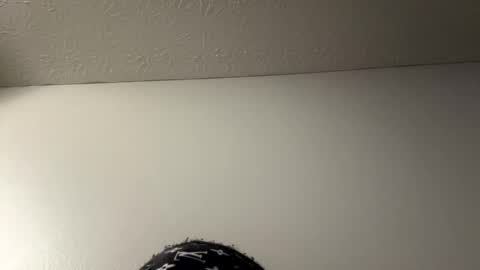 daddyshlank69 online show from January 27, 8:51 am