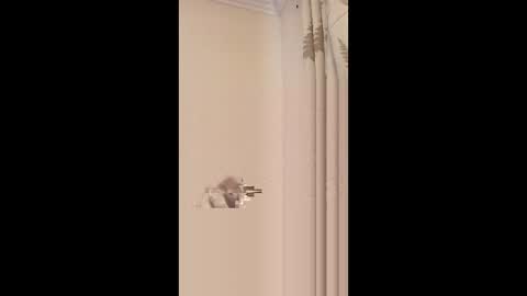 dafo1980 online show from March 23, 10:43 am