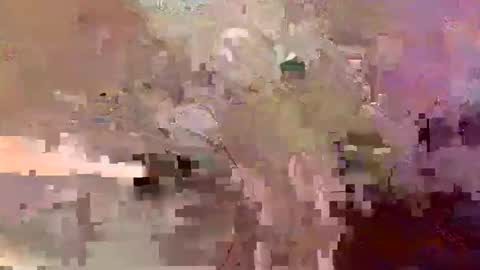 dafo1980 online show from April 14, 12:05 pm