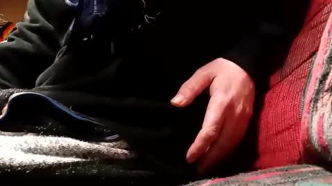 darklotus712 online show from February 2, 7:00 pm