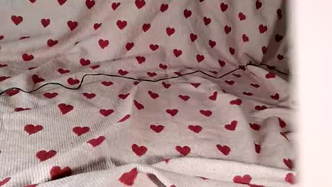 davdi77 online show from November 1, 8:46 pm