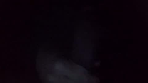 Snapshot of davidbigdick24 chatting on January 15, 9:13 am David online show from January 15, 9:13 am