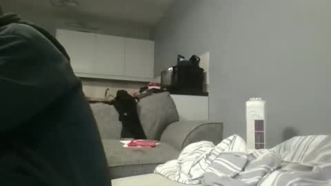 Dazzill online show from October 26, 12:23 am