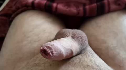 LilRoach online show from October 17, 1:04 pm